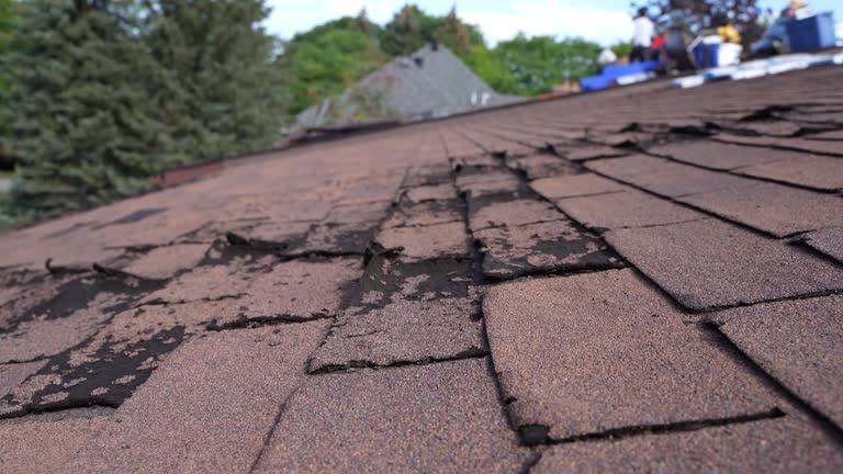 Best Roofing for New Construction  in Apple Valley, OH
